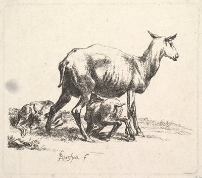 Mouton avec Agneau Allaitant - Nicolaes Pietersz. Berchem