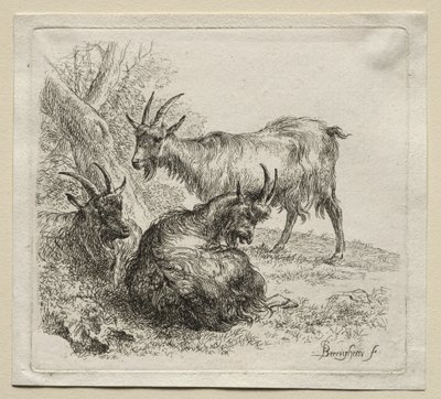 Trois chèvres - Nicolaes Pietersz. Berchem