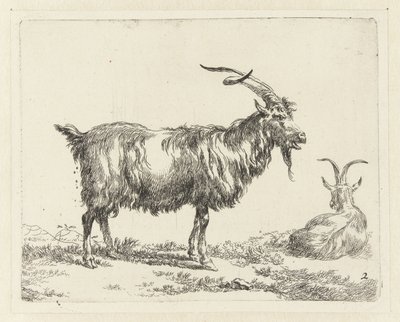 Deux chèvres (Animalia ad vivum delineata et aqua forti aeri impressa Studio et Arte Nicolai Berchemi) - Nicolaes Pietersz Berchem