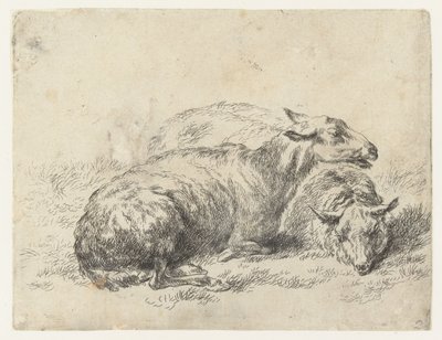 Deux moutons couchés, Animalia ad vivum delineata et aqua forti aeri impressa Studio et Arte Nicolai Berchemi (titre de la série) - Nicolaes Pietersz Berchem