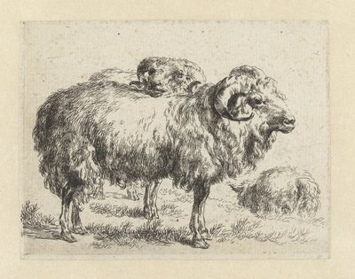 Deux béliers et un mouton - Nicolaes Pietersz Berchem