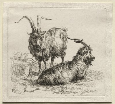 Deux chèvres - Nicolaes Pietersz. Berchem