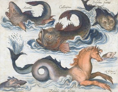 Hippocampe et créatures aquatiques imaginaires - Nicolaes de (after) Bruyn