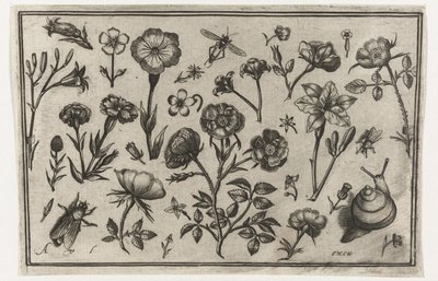 Fleurs, une mouche et un escargot - Nicolaes de Bruyn (possibly)