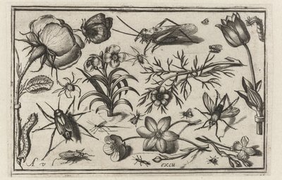 Fleurs et insectes - Nicolaes de Bruyn (possibly)