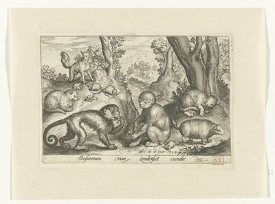 Singes, chats et souris - Nicolaes de Bruyn