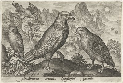 Aigle et autres rapaces - Nicolaes de Bruyn