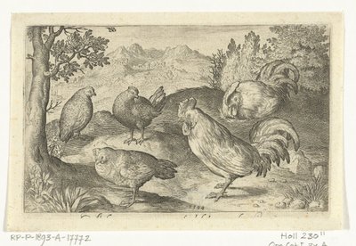 Trois poules et deux coqs - Nicolaes de Bruyn