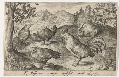Trois poules et deux coqs, Oiseaux et insectes (titre de la série) - Nicolaes de Bruyn