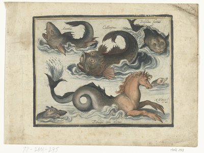 Animaux aquatiques fantastiques, y compris un hippocampe - Nicolaes de Bruyn