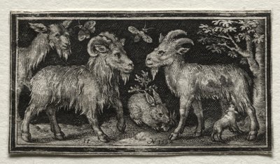 Chèvres et Lièvre, 1594 - Nicolaes de Bruyn