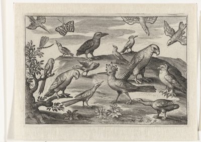 Huppe et autres oiseaux - Nicolaes de Bruyn