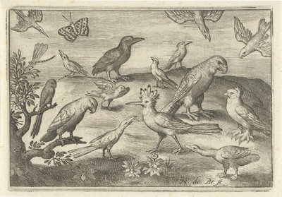 Huppe et autres oiseaux (Vogels en insecten) - Nicolaes de Bruyn