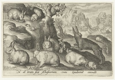 Lapins, écureuil, cobaye et souris - Nicolaes de Bruyn