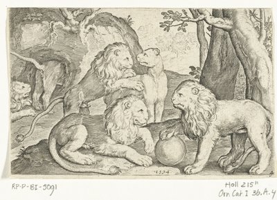 Lions - Nicolaes de Bruyn