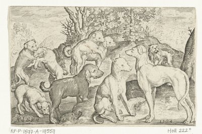 Neuf chiens - Nicolaes de Bruyn
