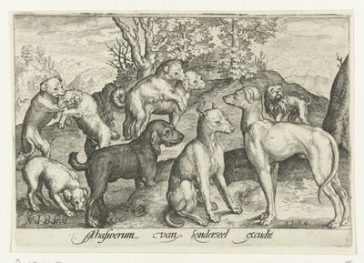 Neuf chiens - Nicolaes de Bruyn