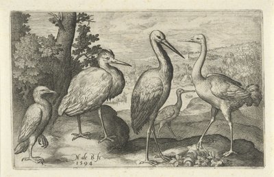 Cigogne, grue, héron et spatule (Oiseaux et insectes) - Nicolaes de Bruyn