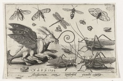Sauterelles et créature fantastique avec ailes et palmes (Vogels en insecten) - Nicolaes de Bruyn