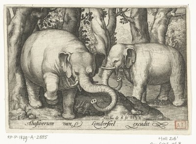Deux éléphants, Animalivm qvadrvpedvm (titre de la série), Animaux dans des paysages (titre de la série) - Nicolaes de Bruyn