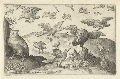 Hibou avec proie attaqué par d