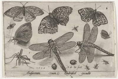 Papillons et libellules - Nicolaes de Bruyn