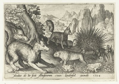 Sanglier, renards, castor, porc-épic et grenouilles - Nicolaes de Bruyn