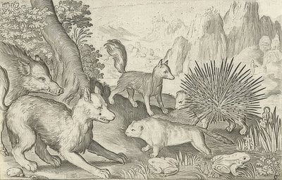 Sanglier, renards, castors, porc-épic et grenouilles. 1621 - Nicolaes de Bruyn
