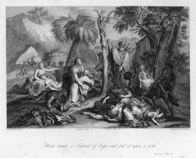 Élever le serpent d