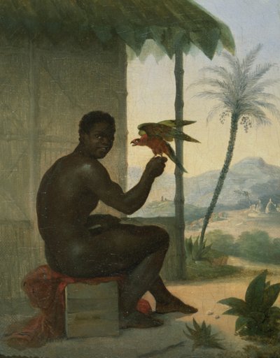 Noir brésilien avec oiseau tropical - Nicolas Antoine Taunay
