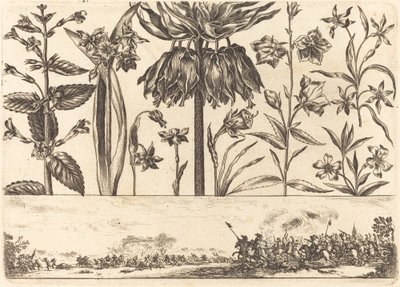 Impression de fleurs n°10 - Nicolas Cochin after Balthasar Moncornet