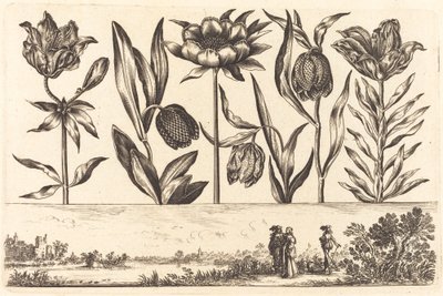 Impression de fleurs n°11 - Nicolas Cochin after Balthasar Moncornet