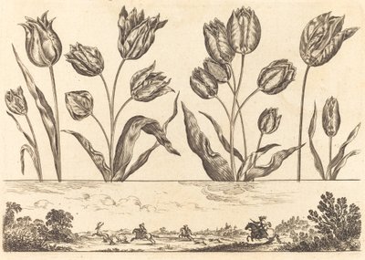 Impression de fleurs n°12 - Nicolas Cochin after Balthasar Moncornet