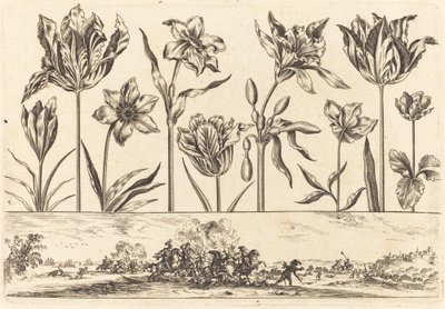 Impression de fleurs n°2 - Nicolas Cochin after Balthasar Moncornet