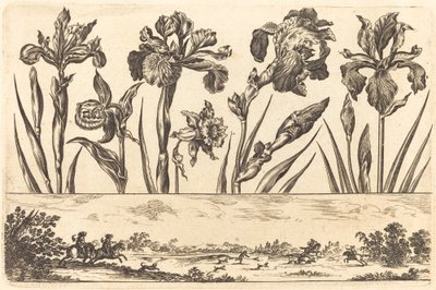 Impression de fleurs n°3 - Nicolas Cochin after Balthasar Moncornet