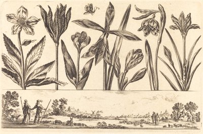 Impression de fleurs n°4 - Nicolas Cochin after Balthasar Moncornet