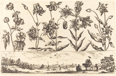 Impression de Fleurs n°6 - Nicolas Cochin after Balthasar Moncornet