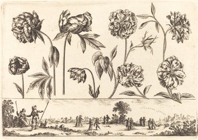 Impression de fleurs n°7 - Nicolas Cochin after Balthasar Moncornet
