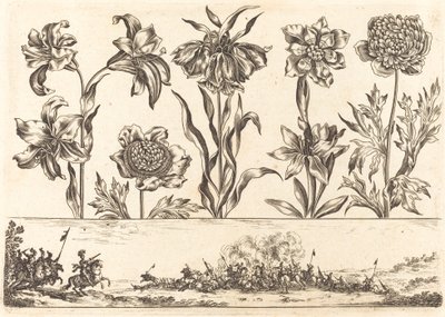 Impression de Fleurs n°8 - Nicolas Cochin after Balthasar Moncornet