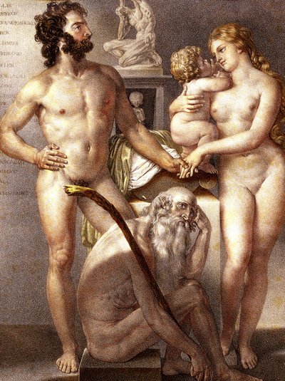 Anatomie de l