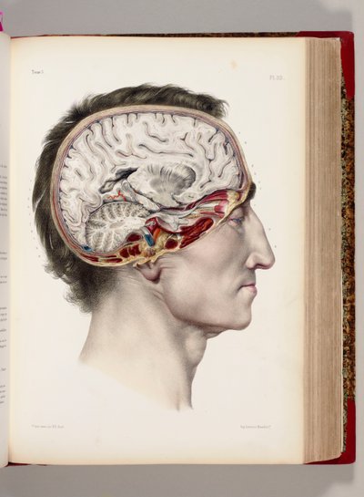 Lithographie colorée à la main d
