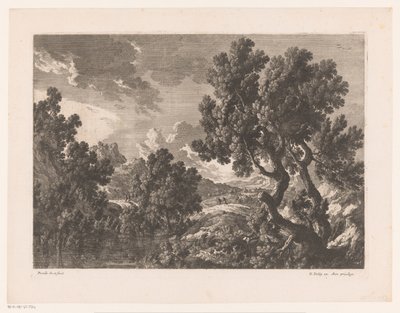 Paysage rocheux avec arbres au bord de l