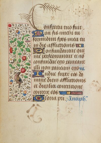 Page de texte décorée - Nicolas Spierinc