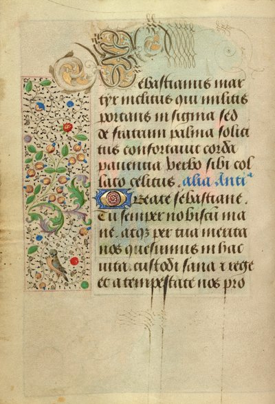 Page de texte décorée - Nicolas Spierinc