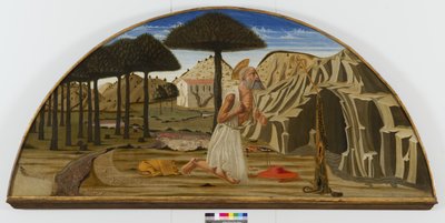 Saint Jérôme dans le désert - Nicolo di Maestro Antonio dAncona