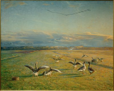 Migration d