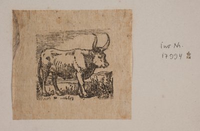 Un bœuf - Niels Skovgaard