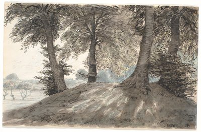 "Hoppehøj près de Nysø" - Niels Skovgaard
