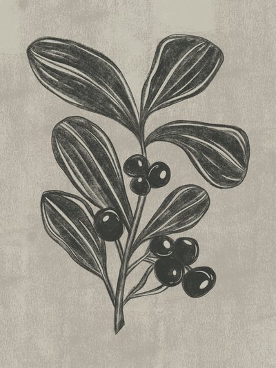 Esquisse botanique de baies - Nikita Jariwala