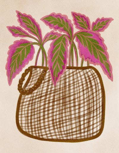 Plante en pot colorée - Nikita Jariwala